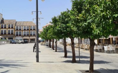 Últimos pisos, casas y chalets Rucapri. ¿Te vas a quedar sin ellos?