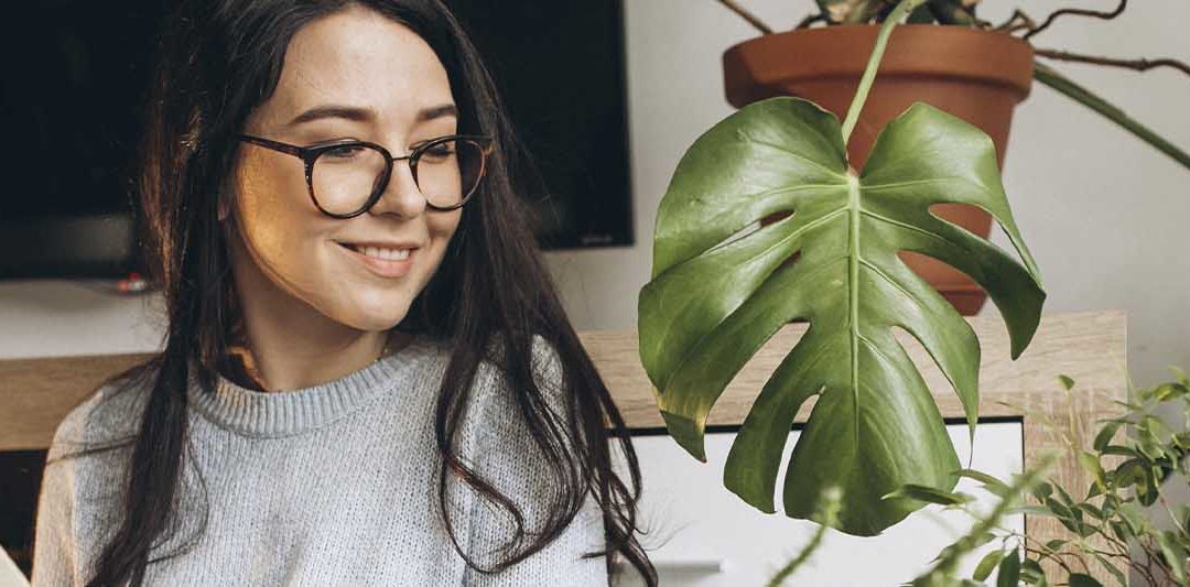 Plantas para interiores con las que decorar tu casa.