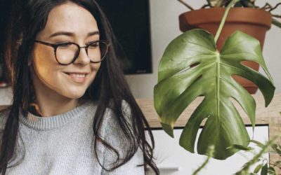 Plantas para interiores con las que decorar tu casa.