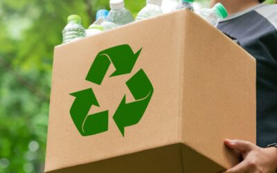 Renueva tu hogar de forma sostenible: Cómo rediseñar con materiales reciclados